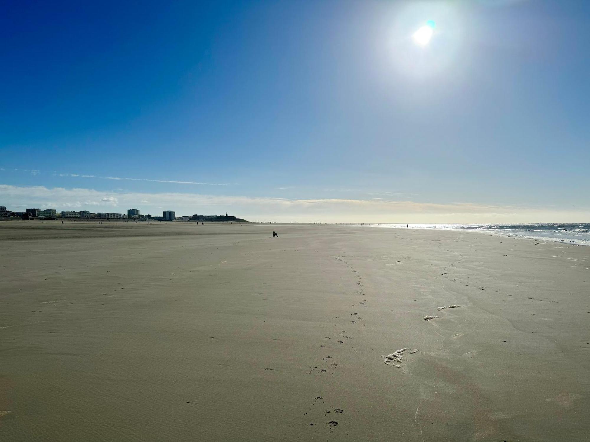Le Paillette T2 400 M De La Plage Berck Exterior photo